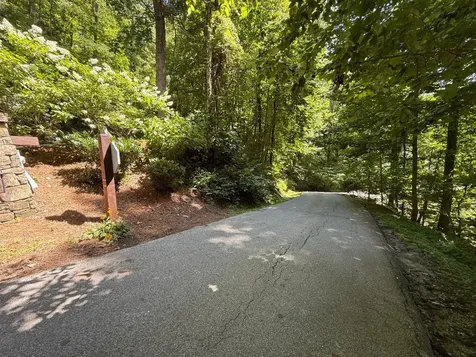 57 Mossy Cup Court Tuckasegee NC 28783