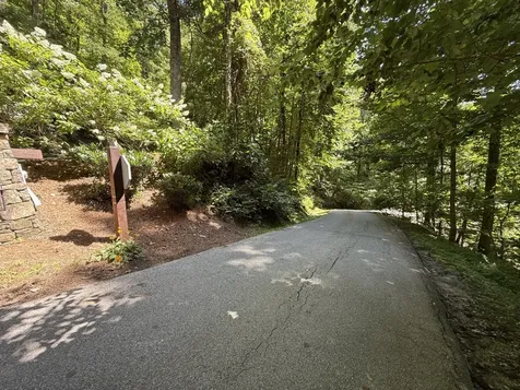 57 Mossy Cup Court Tuckasegee NC 28783