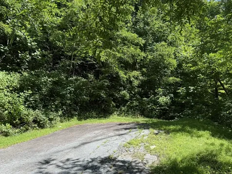 57 Mossy Cup Court Tuckasegee NC 28783