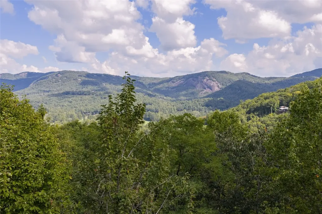 618 Nix Mountain Road Sapphire NC 28774