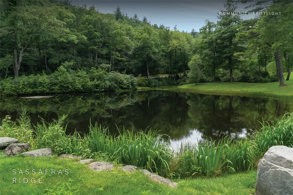 618 Nix Mountain Road Sapphire NC 28774