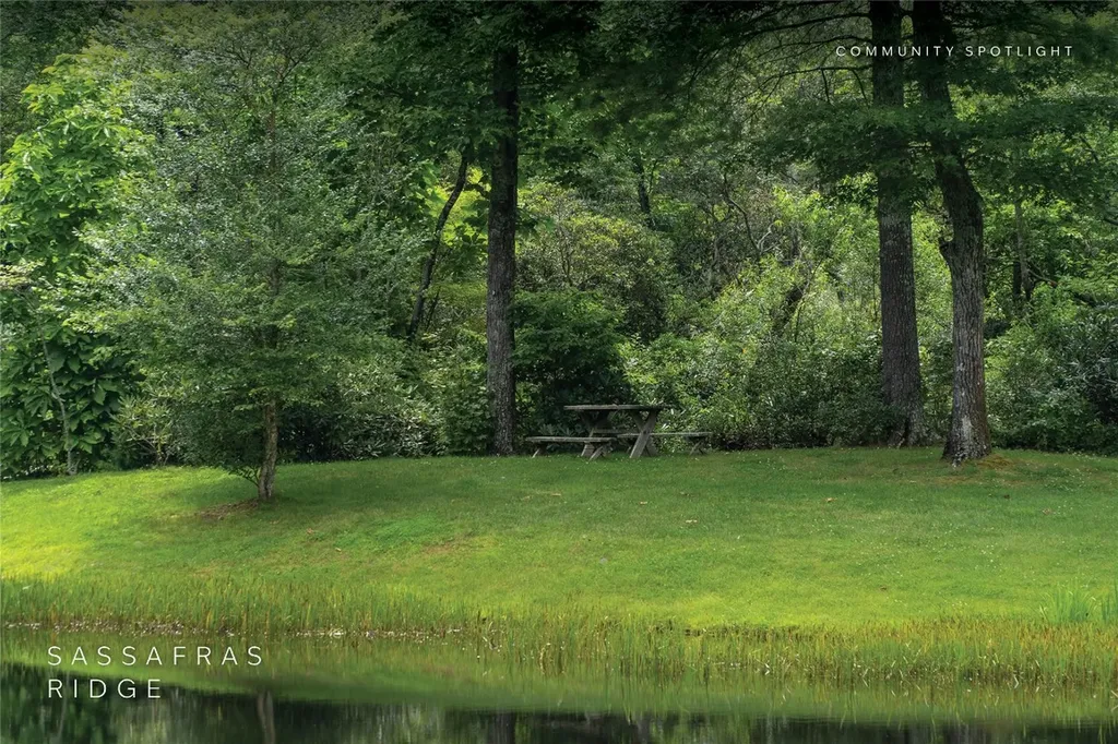 618 Nix Mountain Road Sapphire NC 28774