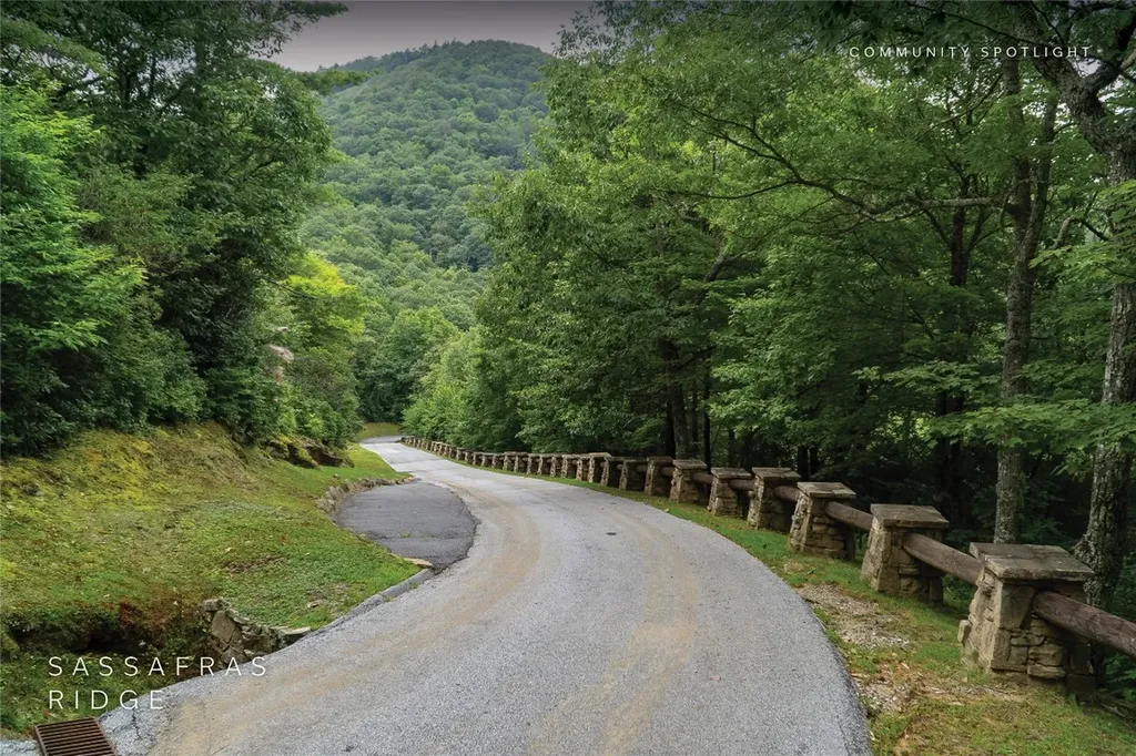 618 Nix Mountain Road Sapphire NC 28774