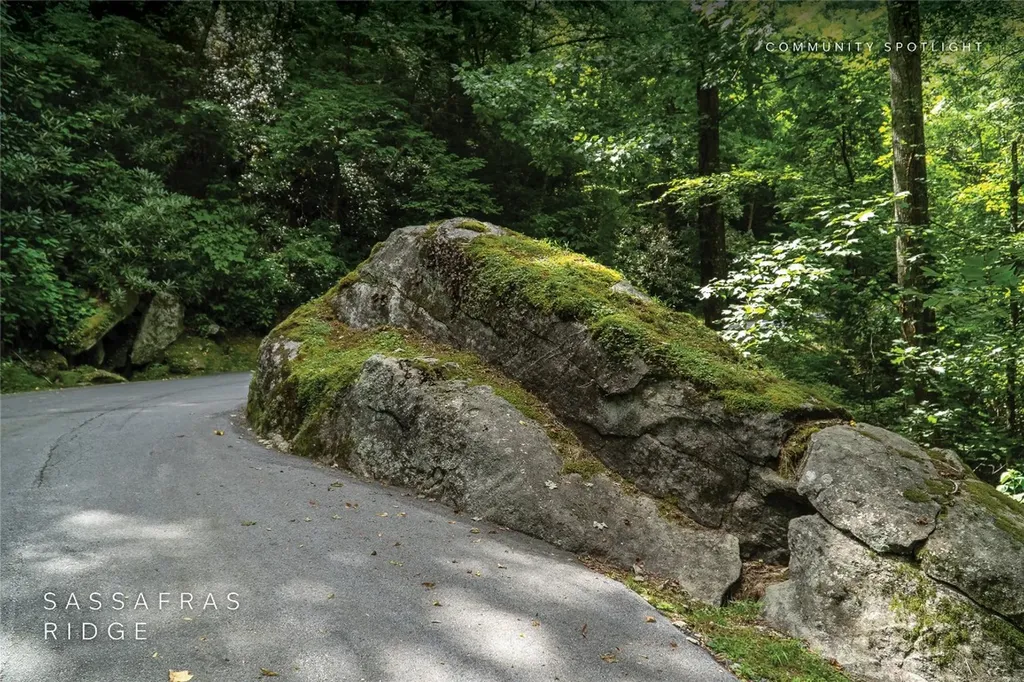 618 Nix Mountain Road Sapphire NC 28774