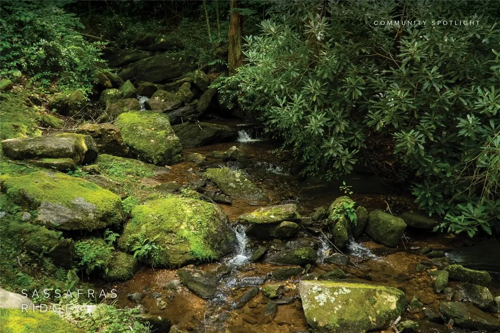 618 Nix Mountain Road Sapphire NC 28774