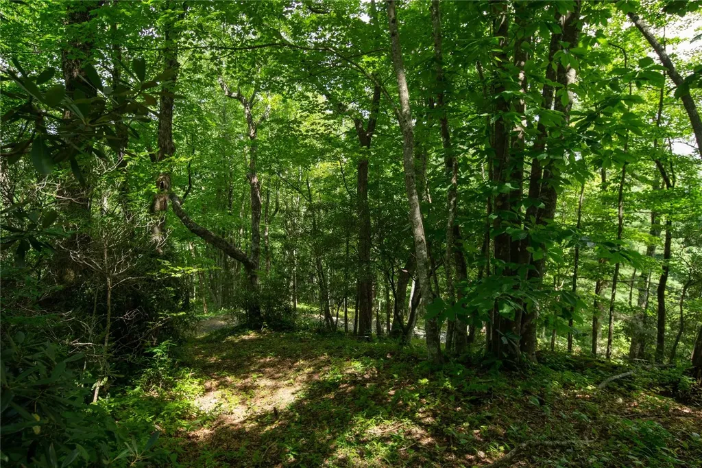 618 Nix Mountain Road Sapphire NC 28774