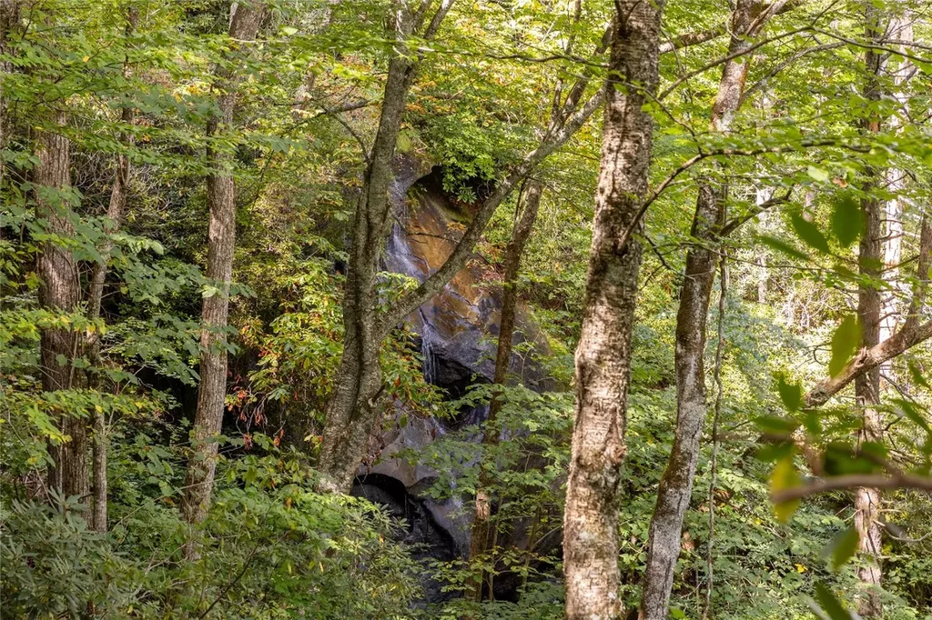 618 Nix Mountain Road Sapphire NC 28774