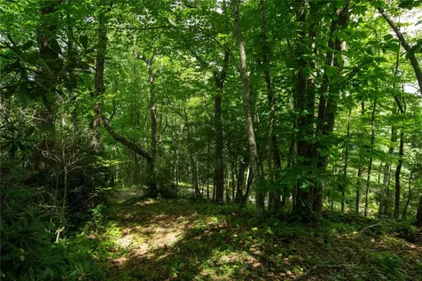 618 Nix Mountain Road Sapphire NC 28774