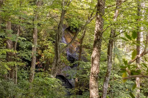 618 Nix Mountain Road Sapphire NC 28774