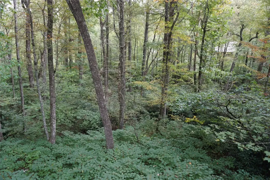 186 Harris Drive Highlands NC 28741