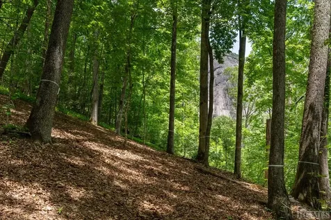 Lot 144 Farmhouse Trail Sapphire NC 28774