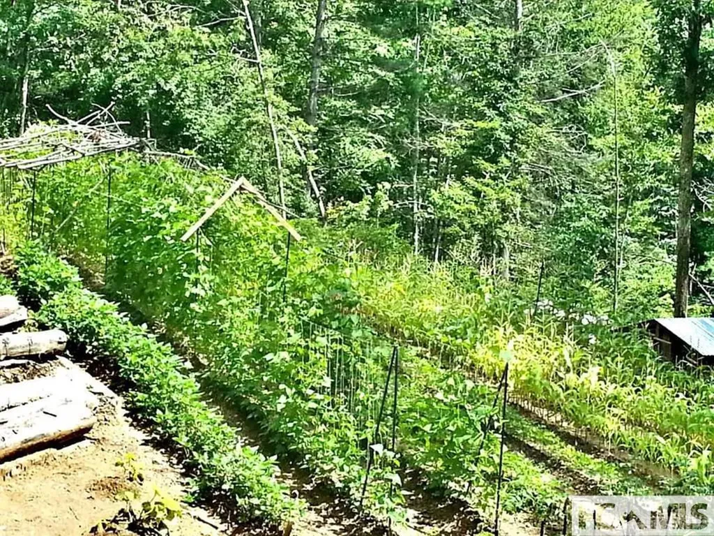 270 Whitewater Church Road Sapphire NC 28774