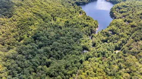 Tbd Cardinal Drive Lake Toxaway NC 28747