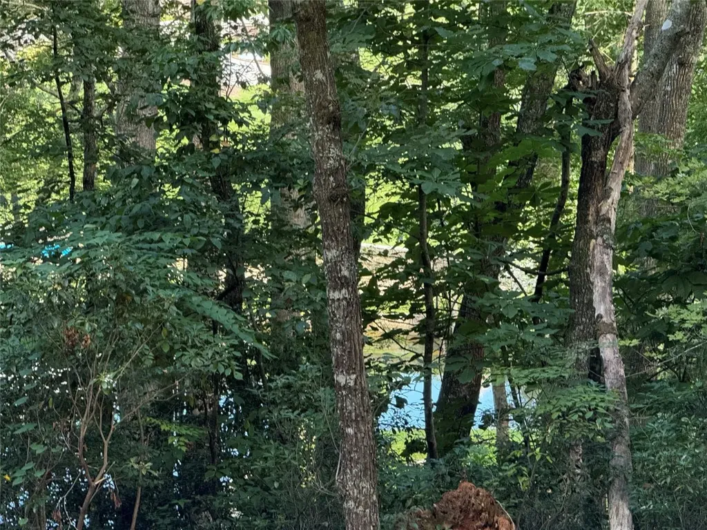 D51-52 North Club Boulevard Lake Toxaway NC 28747