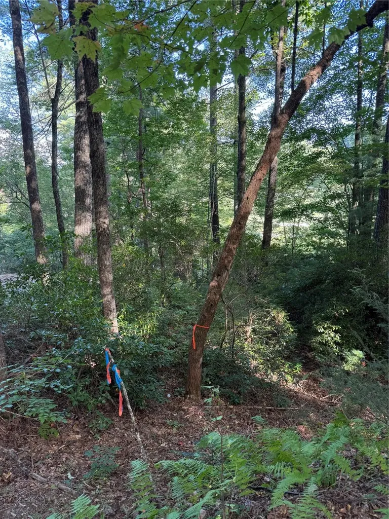 D51-52 North Club Boulevard Lake Toxaway NC 28747