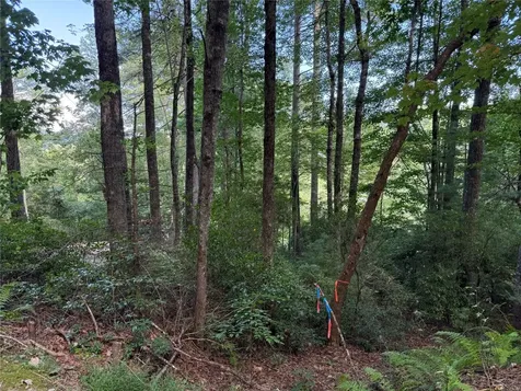 D51-52 North Club Boulevard Lake Toxaway NC 28747