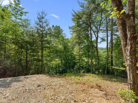 D51-52 North Club Boulevard Lake Toxaway NC 28747