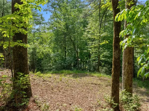D51-52 North Club Boulevard Lake Toxaway NC 28747