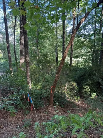 D51-52 North Club Boulevard Lake Toxaway NC 28747