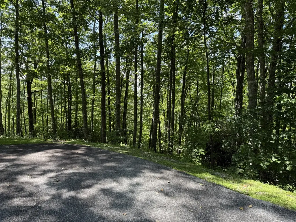 239 Cross Vine Drive Tuckasegee NC 28783