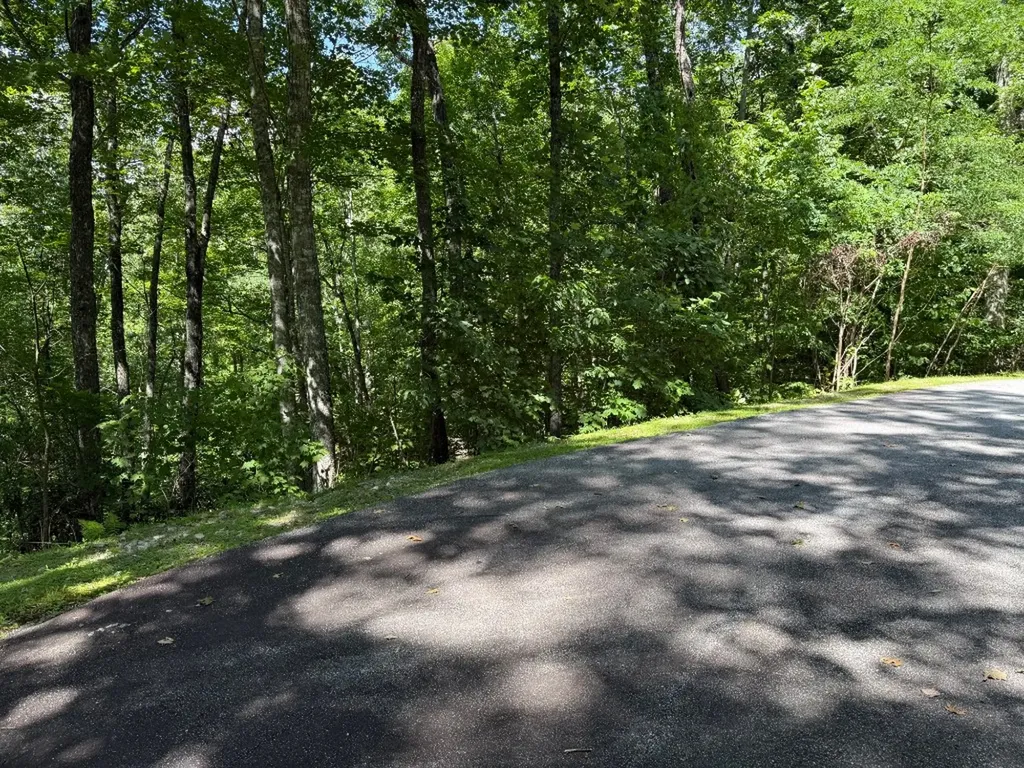 239 Cross Vine Drive Tuckasegee NC 28783