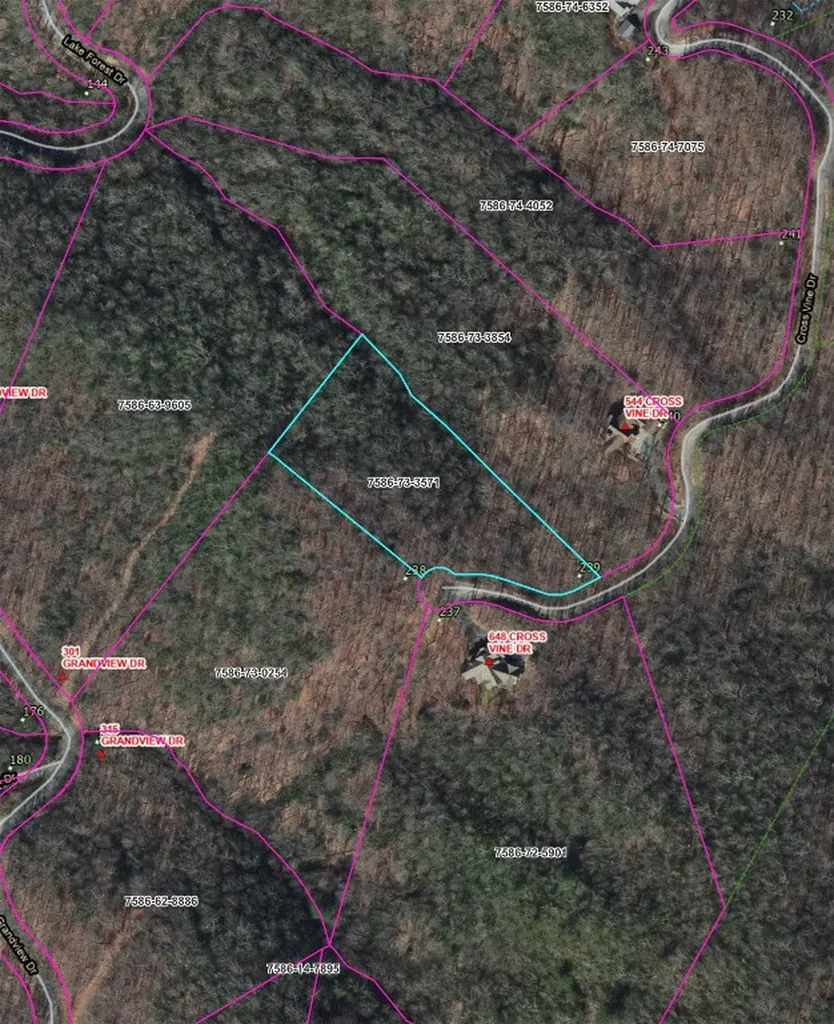 239 Cross Vine Drive Tuckasegee NC 28783