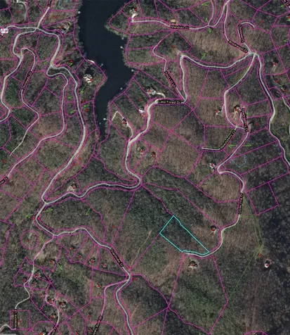 239 Cross Vine Drive Tuckasegee NC 28783