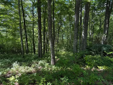 239 Cross Vine Drive Tuckasegee NC 28783