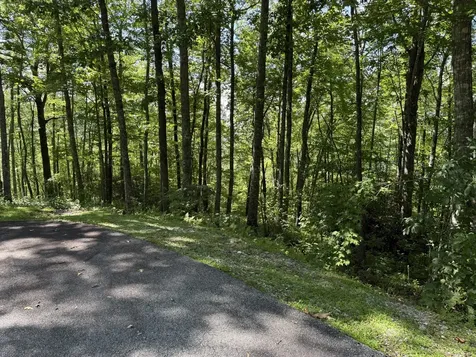 239 Cross Vine Drive Tuckasegee NC 28783
