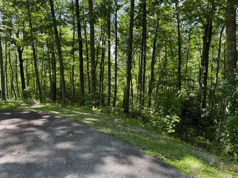 239 Cross Vine Drive Tuckasegee NC 28783