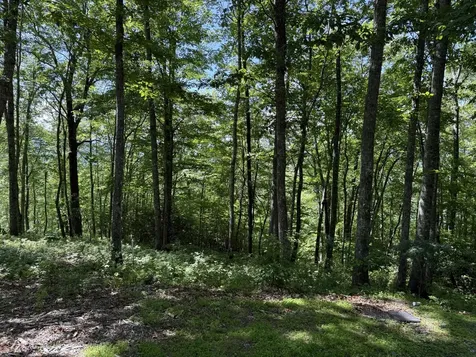 239 Cross Vine Drive Tuckasegee NC 28783
