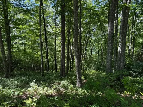 239 Cross Vine Drive Tuckasegee NC 28783