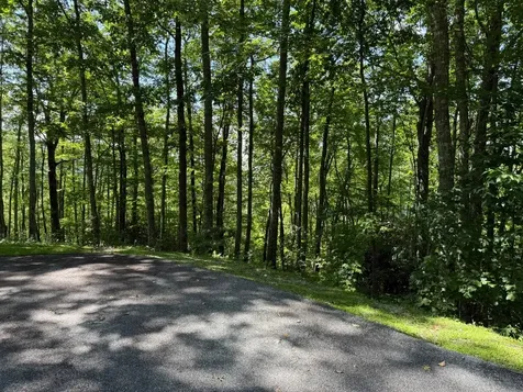 239 Cross Vine Drive Tuckasegee NC 28783