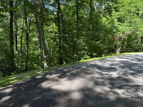 239 Cross Vine Drive Tuckasegee NC 28783