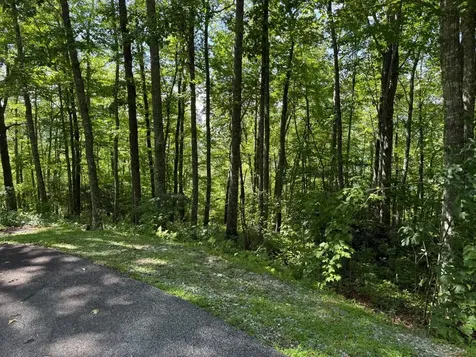 239 Cross Vine Drive Tuckasegee NC 28783