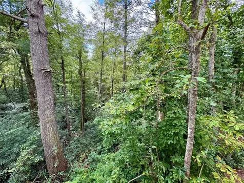 332 Shelby Drive Highlands NC 28741