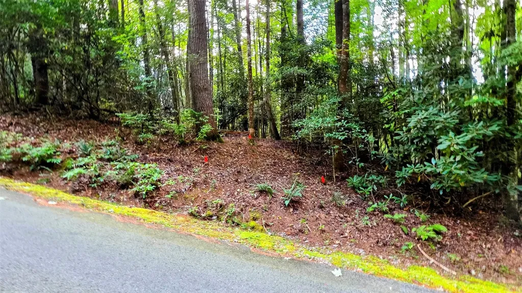 162 Sunrise Court Sapphire NC 28774