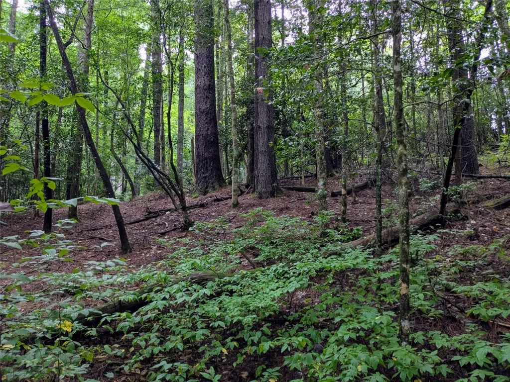 162 Sunrise Court Sapphire NC 28774