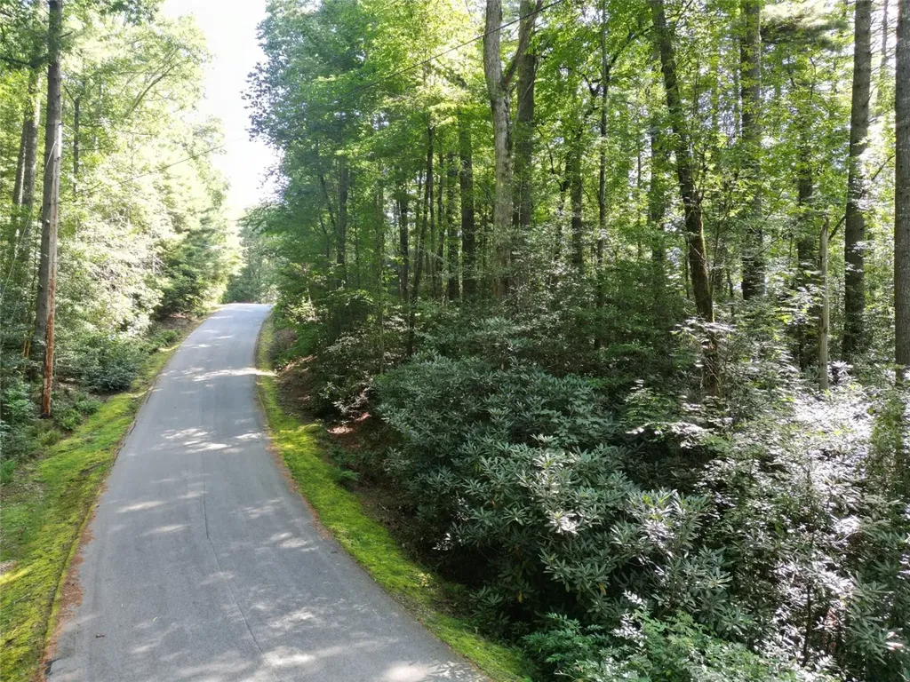 162 Sunrise Court Sapphire NC 28774