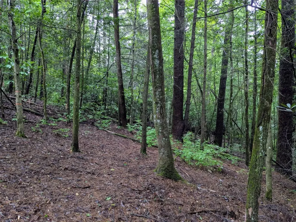 162 Sunrise Court Sapphire NC 28774