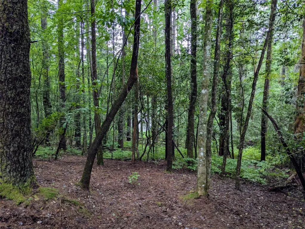 162 Sunrise Court Sapphire NC 28774