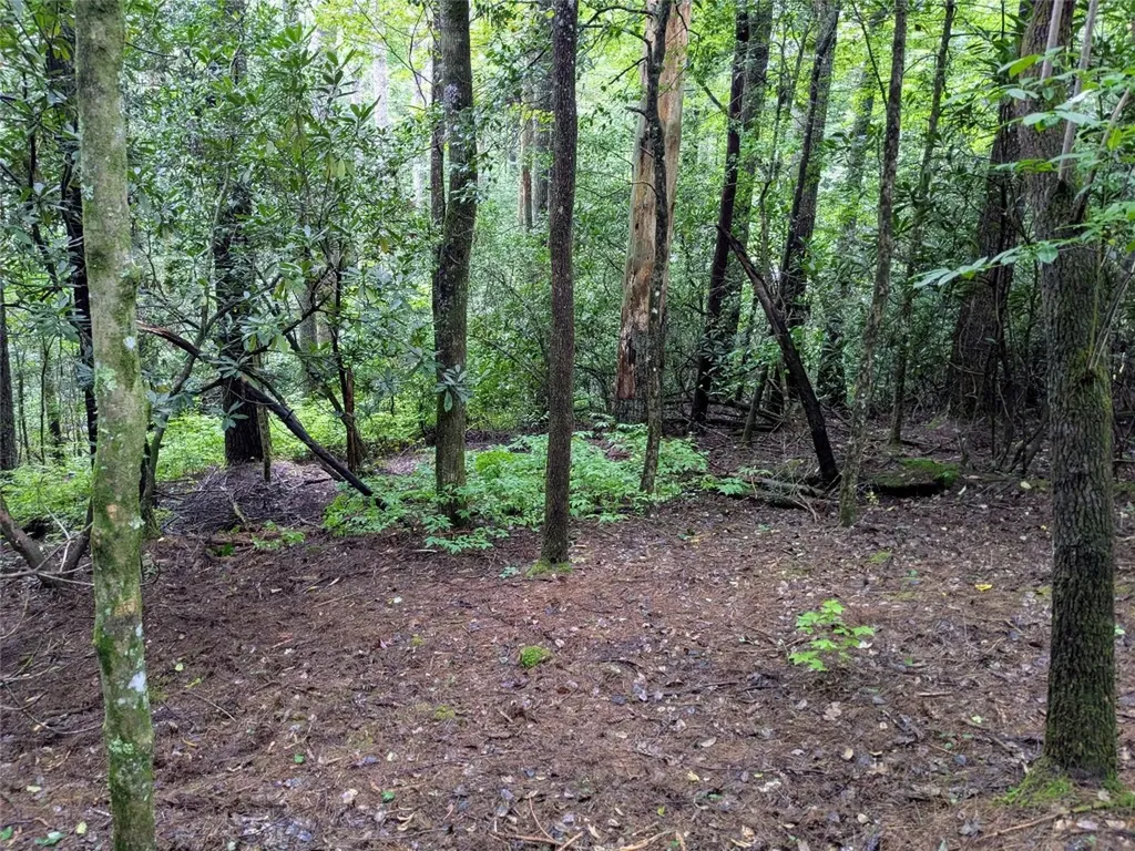 162 Sunrise Court Sapphire NC 28774