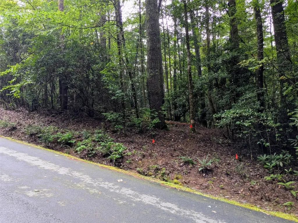 162 Sunrise Court Sapphire NC 28774