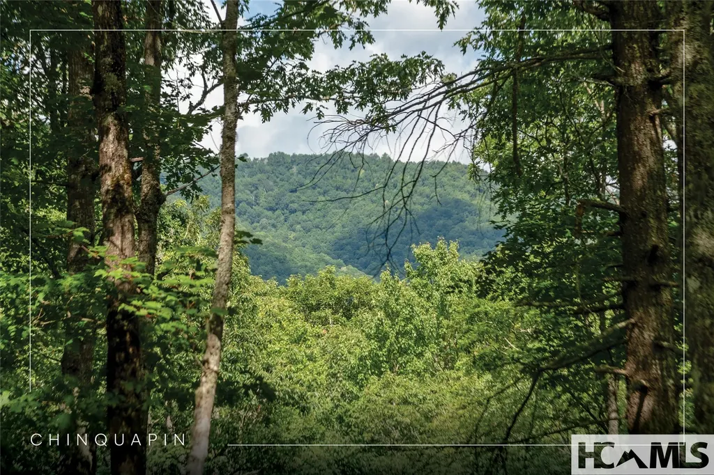 Lot 98 Blazing Star Drive Glenville NC 28736
