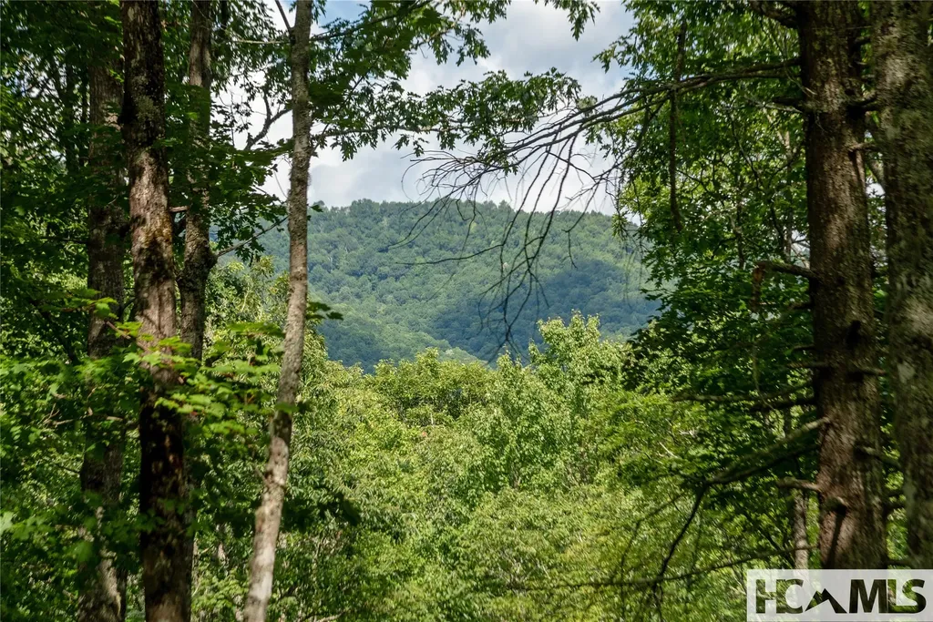 Lot 98 Blazing Star Drive Glenville NC 28736