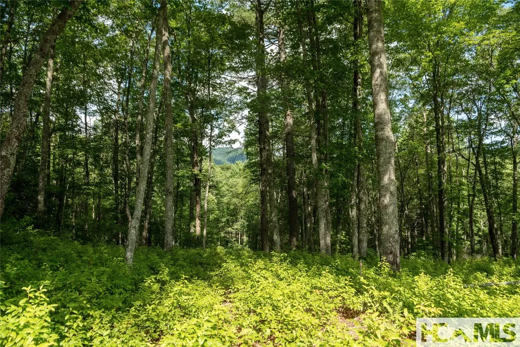 Lot 98 Blazing Star Drive Glenville NC 28736