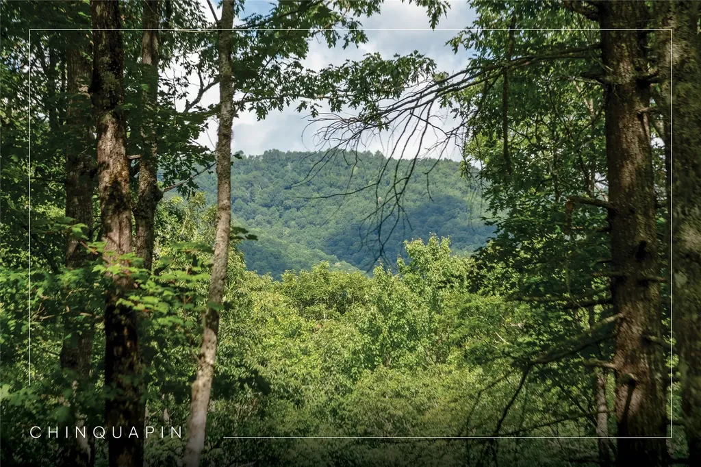 Lot 98 Blazing Star Drive Glenville NC 28736