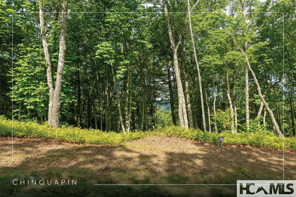 Lot 98 Blazing Star Drive Glenville NC 28736