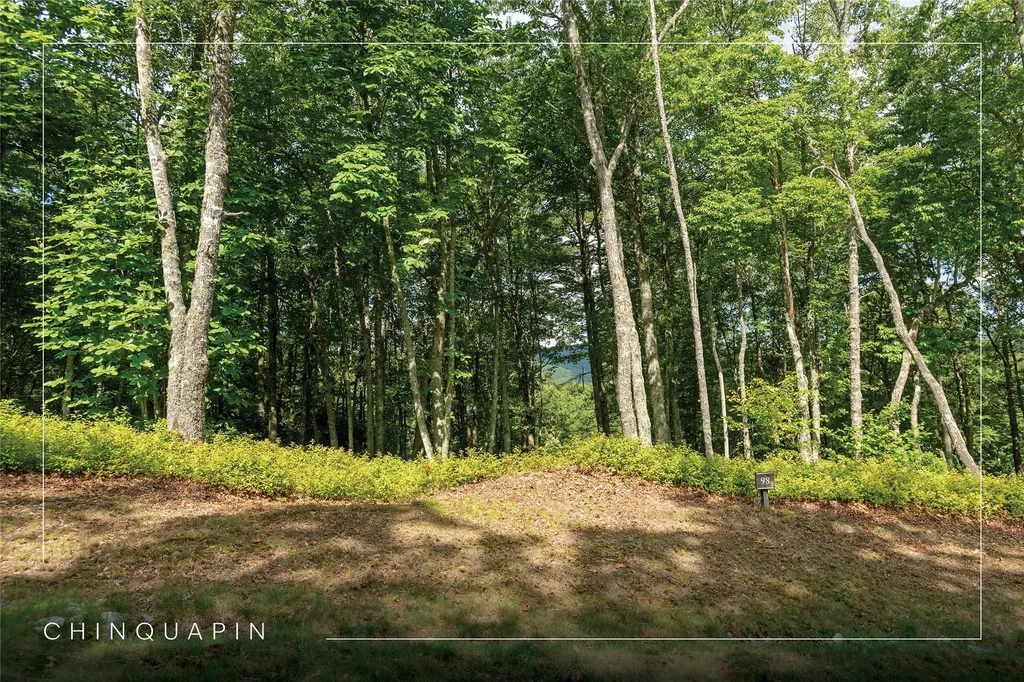 Lot 98 Blazing Star Drive Glenville NC 28736