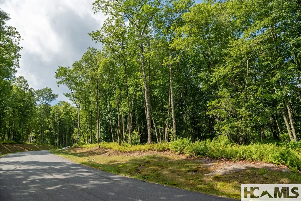 Lot 98 Blazing Star Drive Glenville NC 28736